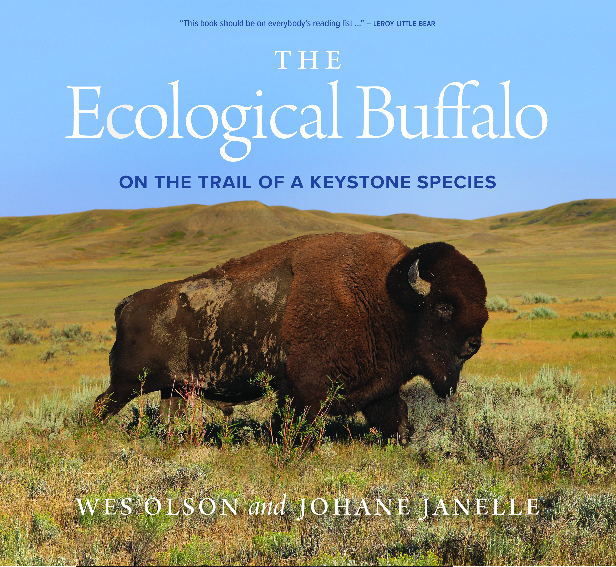 Bison Conservation: Hope for the Future artikel afbeelding