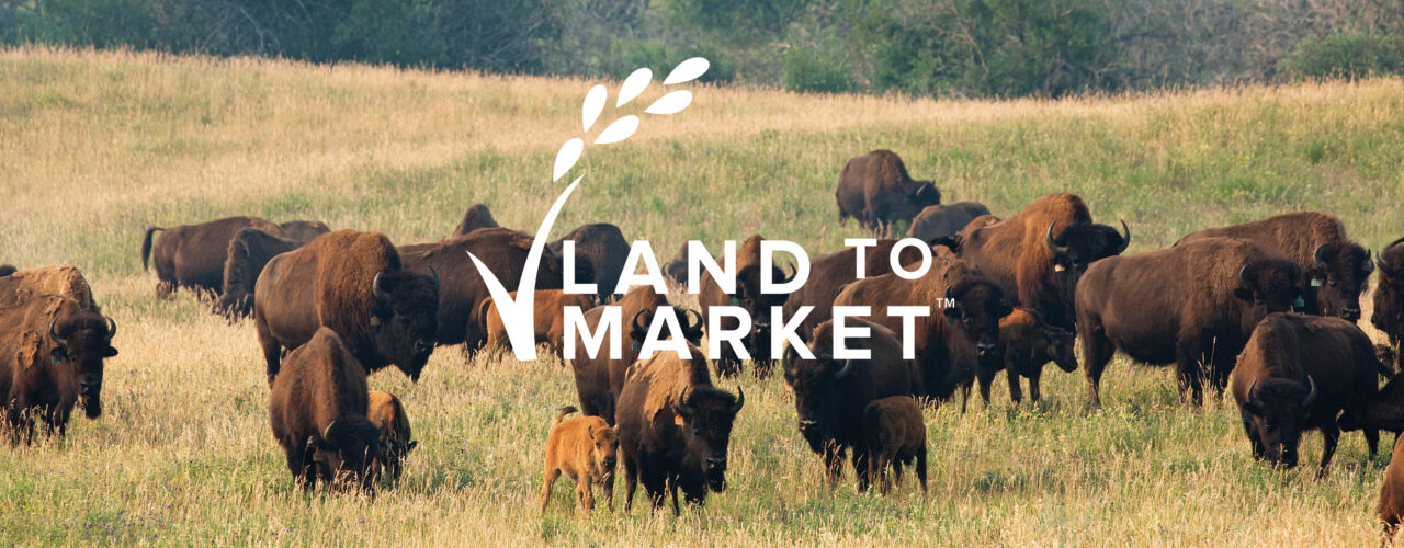Noble Premium Bison rejoint Land to Market article image